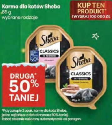 Karma dla kotów Sheba różne rodzaje promocja w Delikatesy Centrum