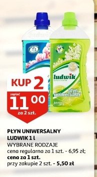 Płyn uniwersalny odor eliminator Ludwik promocja