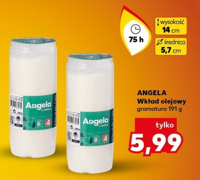 Wkład olejowy 75 h promocja w Kaufland