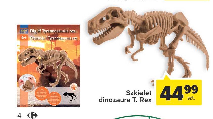 Szkielet dinozaura tyrannosaurus rex promocje