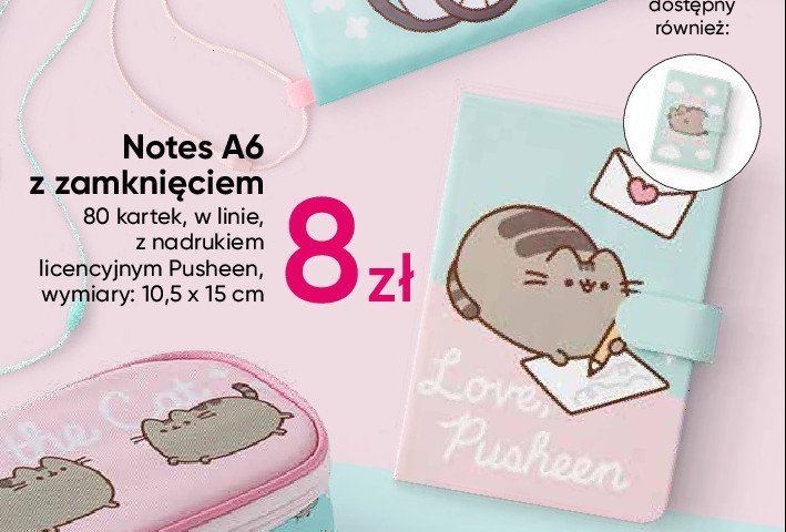 Notes a6/80 k. pusheen promocja