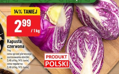 Kapusta czerwona promocja w POLOmarket
