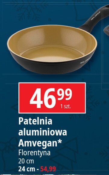 Patelnia amvegan 24 cm Florina (florentyna) promocja w Leclerc