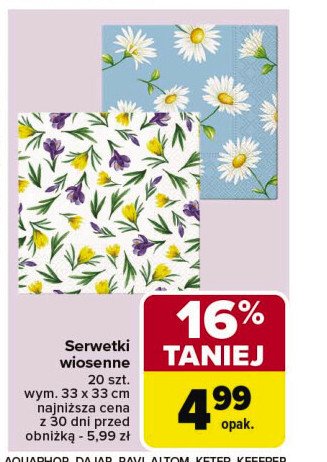 Serwetki wiosenne wym. 33 x 33 cm promocja w Carrefour Market