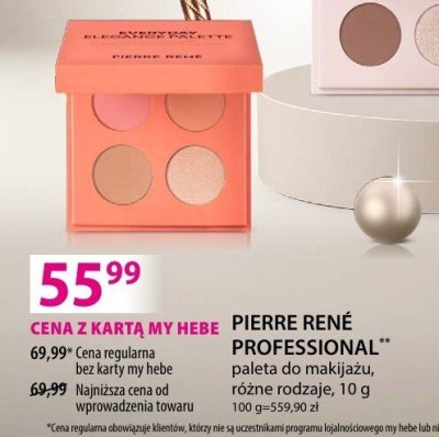 PIERRE RENÉ PROFESSIONAL paleta do makijażu różne rodzaje promocja w Hebe