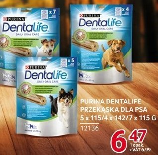 Przekąska dla psa Purina Dentalife promocja w Selgros