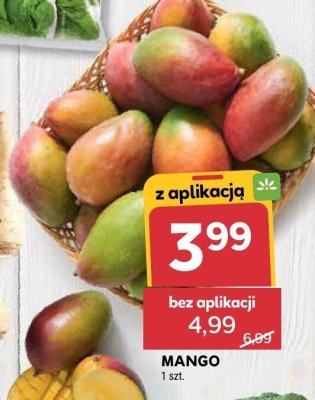 Mango promocja w Stokrotka