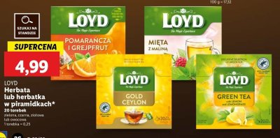 Herbata pomara艅cz i grejpfrut Loyd tea the magic experience promocja