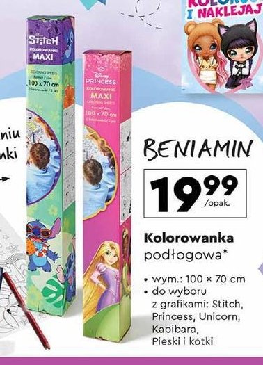 Kolorowanka podłogowa 100 x 70 cm disney princess Beniamin Beniamin mn promocja