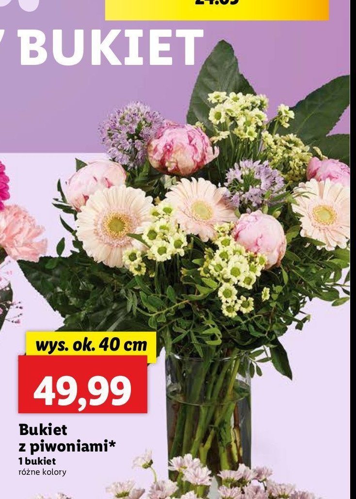 Bukiet z piwoniami 40 cm promocja w Lidl