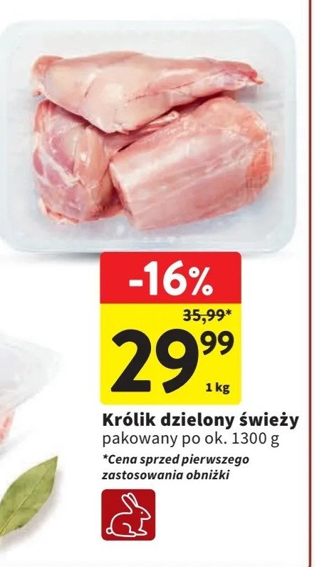 Królik dzielony promocja