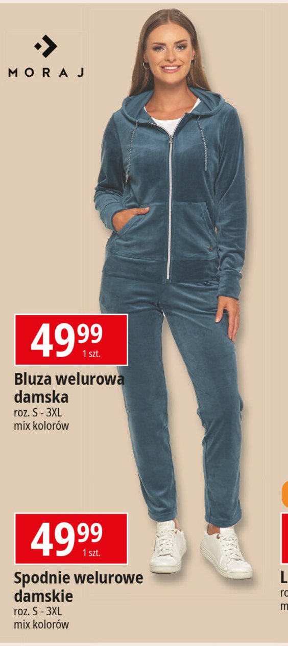 Bluza damska welurowa Moraj promocja w Leclerc