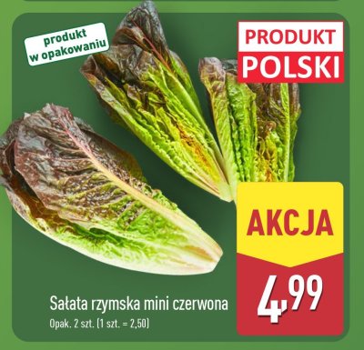 Sałata rzymska mini czerwona promocja w Aldi