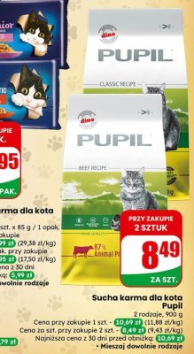 Karma sucha dla kota Pupil różne rodzaje promocja w Dino