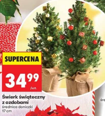 Świerk świąteczny z ozdobami promocja w Biedronka