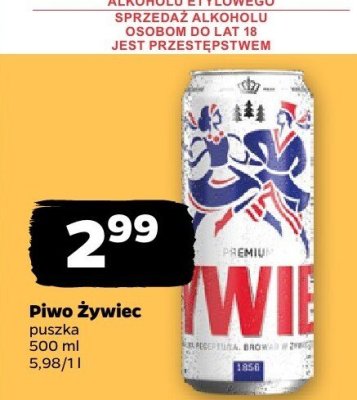 Piwo promocja w Netto