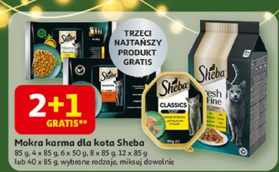 Mokra karma dla kota Sheba promocja w Auchan