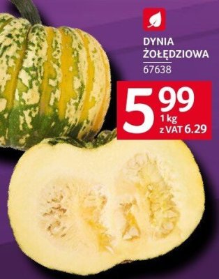 Dynia promocja w Selgros