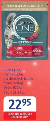 Karma sucha dla dorosłych kotów różne rodzaje Purina One promocja w Drogerie DM