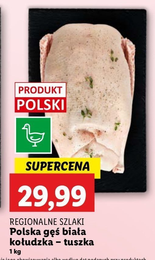 Gęś biała kołudzka REGIONALNE SZLAKI promocja