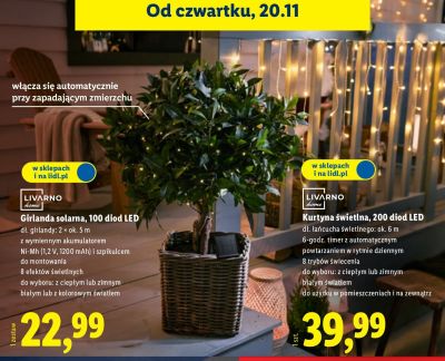 Girlanda solarna LIVARNO home, 100 diod LED promocja w Lidl