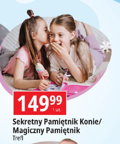 Sekretny pamiętnik Vtech promocja w Leclerc