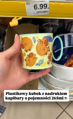 Kubek plastikowy Capibara z nadrukiem promocja w Dino