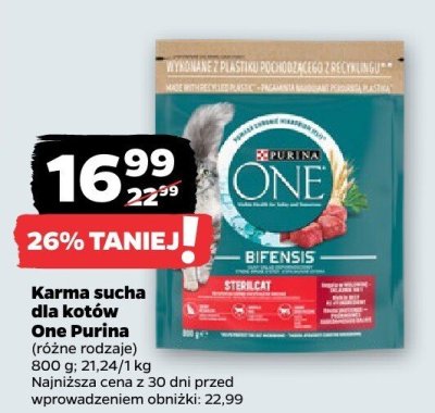 Karma sucha dla kotów, różne rodzaje promocja w Netto