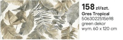 Płytki Gres Tropical green dekor promocja w Castorama
