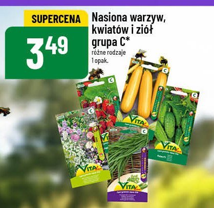 Nasiona szczypiorku Vita promocja