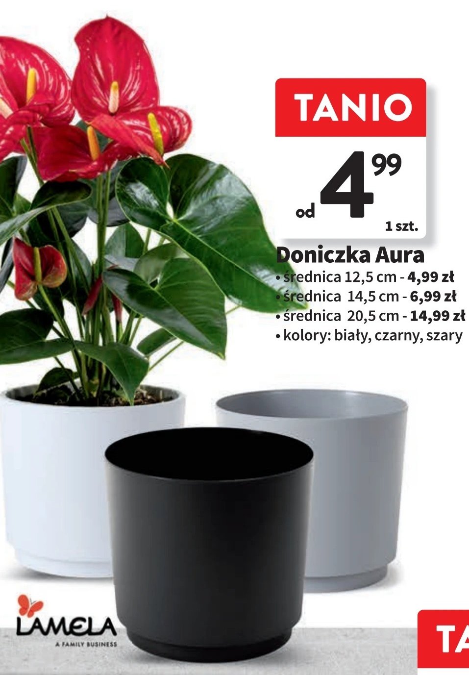 Doniczka aura 20.5 cm promocja w Intermarche