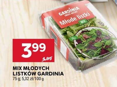 Mix młodych listków   promocja w Stokrotka