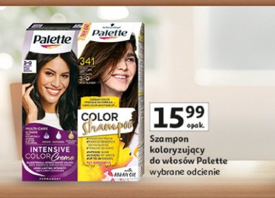 Szampon do koloryzacji w艂os贸w 341 Palette promocja