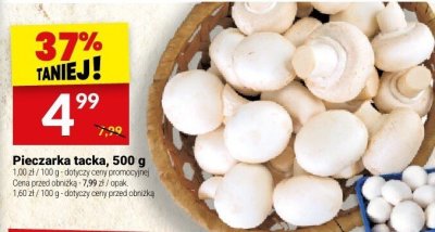 Pieczarka promocja w Tw贸j Market