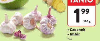 Czosnek luz promocja w Intermarche