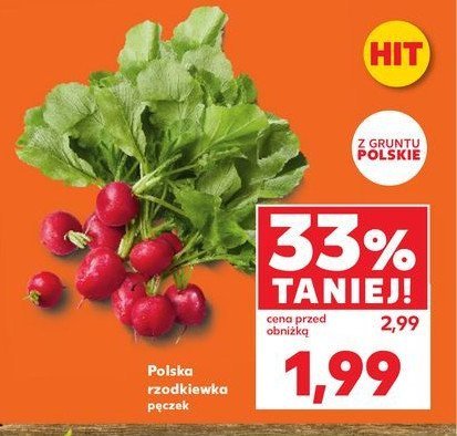 Rzodkiewka polska promocja
