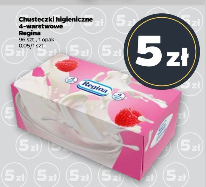 Chusteczki higieniczne splash Regina delicatis promocja w Netto