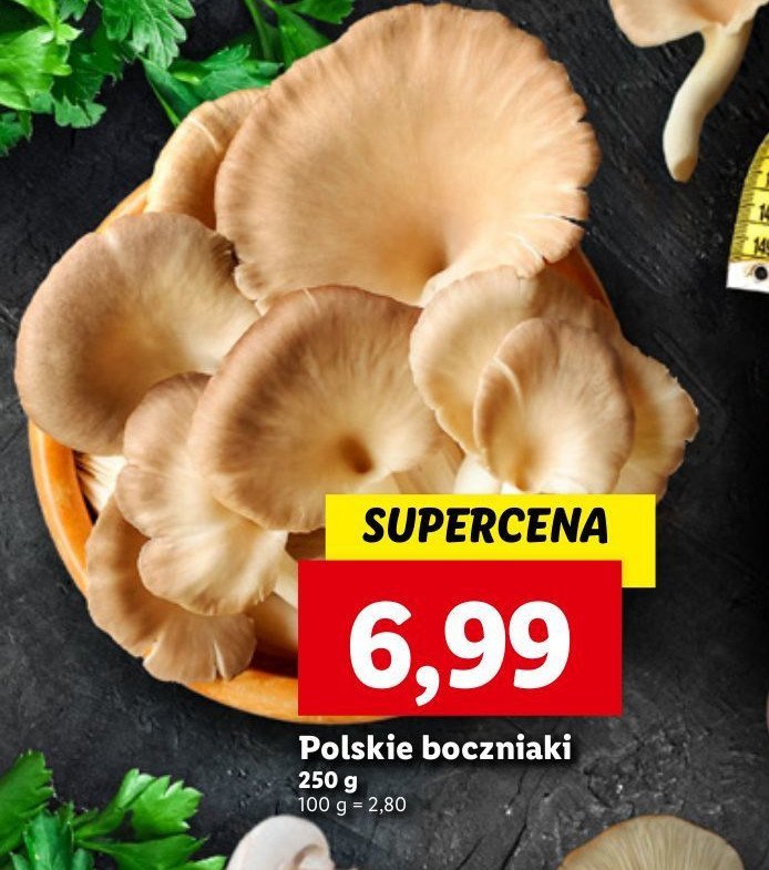 Boczniaki promocja