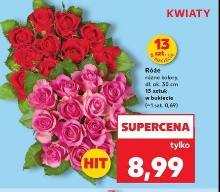 Róże 30 cm promocja w Lidl