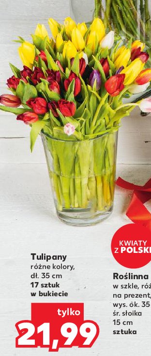 Tulipany 35 cm promocja