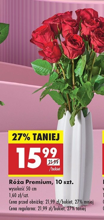 Róże premium 50 cm promocja