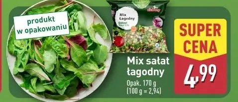 Mieszanka sałat łagodna Eisberg promocja w Aldi