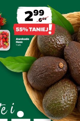 Awokado Hass promocja w Netto