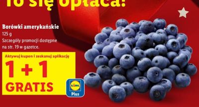 Borówki amerykańskie 125 g 1+1 gratis promocja w Lidl