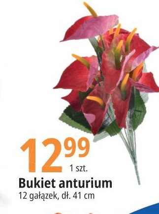 Bukiet anturium promocja