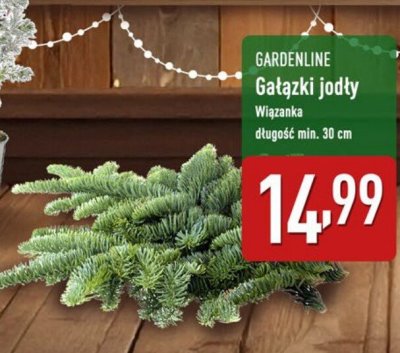 Gałązki jodły promocja w Aldi