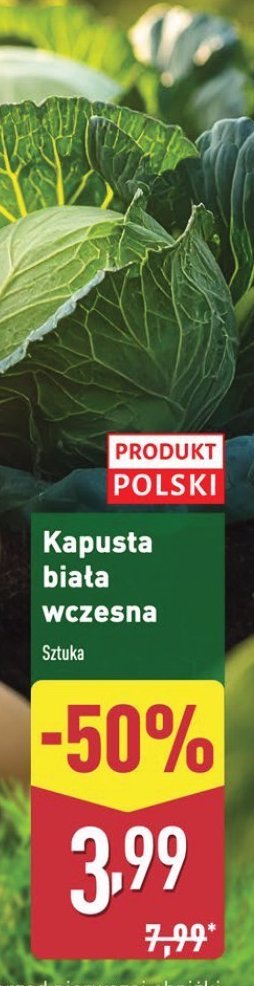 Kapusta wczesna promocja