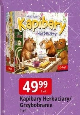Gra Kapibary Herbaciary/Grzybobranie promocja w Leclerc