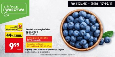 Borówka amerykańska, opak. 300 g promocja w Biedronka