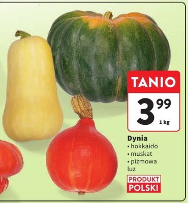 Dynia promocja w Intermarche